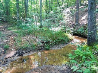 00 Hugh Champion Rd, Tryon, NC 28782