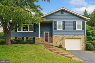 2011 Hoover Ln, Alexandria, VA 22308