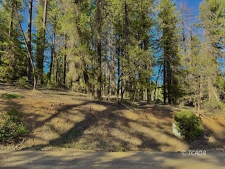 920 Chrome Mine, Hayfork, CA 96041