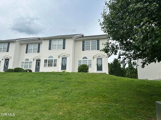 225 Amanda Ln Unit 8, Bristol, TN 37620