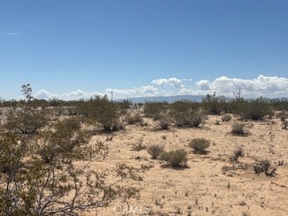 0 Daisy Ln Unit JT25102839, Joshua Tree, CA 92252