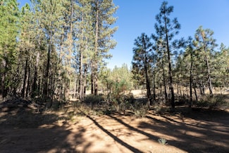 240 Bear Way, Portola, CA 96122