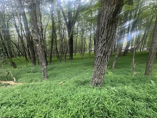 Lots 96 & 97 Bluebird Dr, Terra Alta, WV 26764