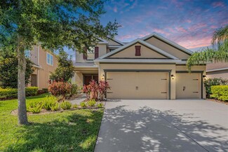 33181 Shadow Branch Ln, Wesley Chapel, FL 33545