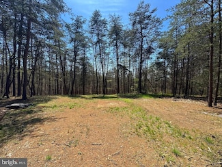 6304 Little Cacapon Rd, Augusta, WV 26704