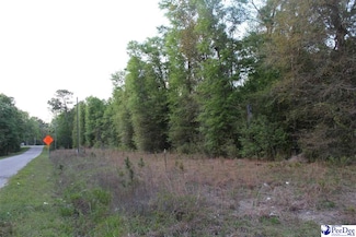 Lot 4 Reds Landing Rd, Andrews, SC 29510