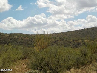 1563 Camino Bacalao -- Unit 45, Rio Rico, AZ 85648