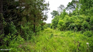 7400 Amon Hill Rd, Bastrop, LA 71220