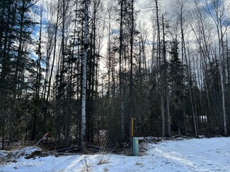 1101 N Brass Ring Dr, Meadow Lakes, AK 99654