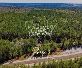 031 King Ranch Road Rd S, Onalaska, TX 77360