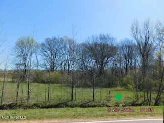 4380 Center Hill Rd, Mineral Wells, MS 38654