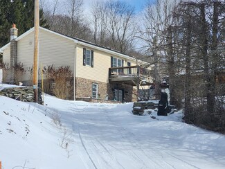 686 Canada Hollow Rd, Shinglehouse, PA 16748