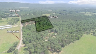 Lot 3 Walker Mountain Rd, Heavener, OK 74953