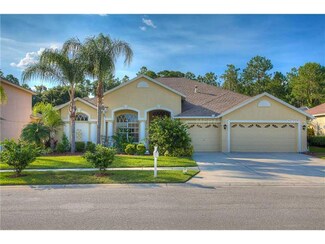 18436 Eastwyck Dr, Tampa, FL 33647