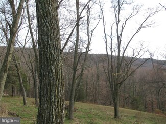 0 Basore Rd Unit 1000146409, Mathias, WV 26812
