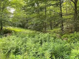 0 State Route 28 Unit S1621323, Thendara, NY 13472