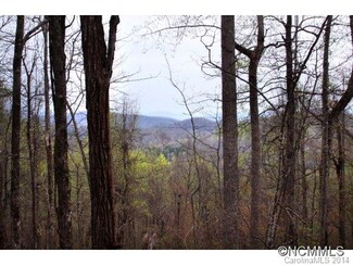 21 Cedar Creek Ridge Extension, Cedar Mountain, NC 28718