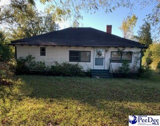 100 N Darlington Ave, Lamar, SC 29069