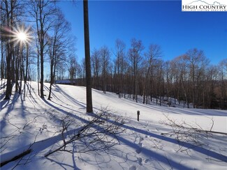 109 Blacksmith Ct, Elk Park, NC 28622