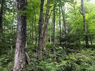 0 Jones Ln Unit 5038140, Wolcott, VT 05680