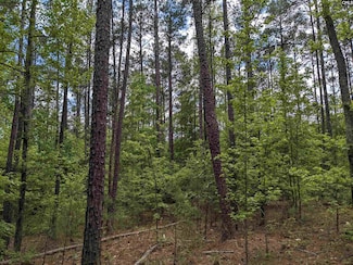 489 Syrup Mill Rd, Ridgeway, SC 29130
