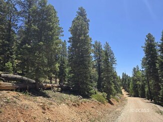 55 Silver Spruce Dr, Duck Creek Village, UT 84762