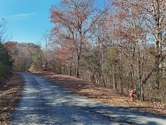 Lt 24 Winding Creek Rd, Blue Ridge, GA 30513