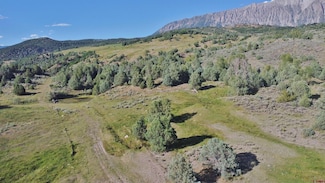 TBD 2 County Road 77, Somerset, CO 81434