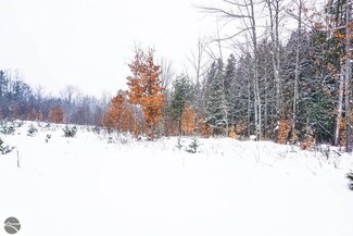 Lot E Mayfield Rd, Kingsley, MI 49649