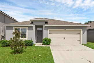 3341 Logan Berry Dr, Mount Dora, FL 32757