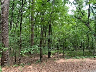 Lots 44 & 45 Lakeview Dr, Heber Springs, AR 72543