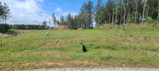 8056 Road 5895, Cleveland, TX 77327