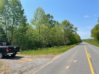 0 Lewis Ln, Mortons Gap, KY 42440