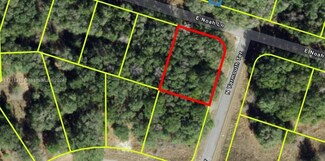684 E Noah Ln, Citrus Springs, FL 34434