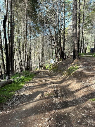 000 Coon Creek Rd, Willow Creek, CA 95573