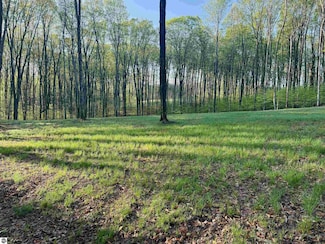 002 S Bright Rd, Maple City, MI 49664