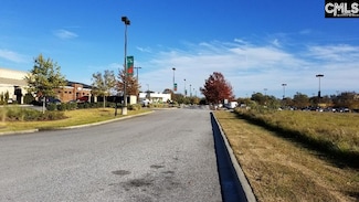 378 Bo Tire Way, Lexington, SC 29072