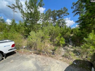 679 Poplar Grove Ln, Columbia, SC 29203