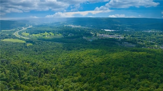 0 Pine Hill Rd, Sidney, NY 13838