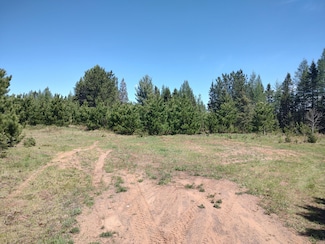 58 Acres Co Rd Fn, Champion, MI 49814