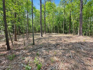 0 Shadow Creek Dr, Florence, MS 39073