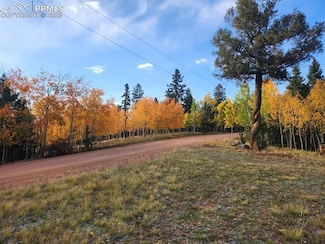 2652 Yorktown Rd, Cripple Creek, CO 80813