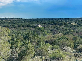 1429 Wagon Track Unit 1429 Wagon Track Roa, Comstock, TX 78837