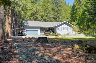 20000 Circle View Dr, Pioneer, CA 95666