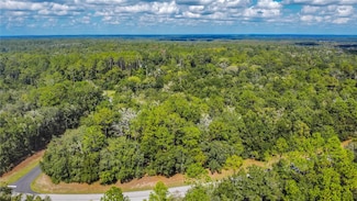 10227 N Athenia Dr, Citrus Springs, FL 34434