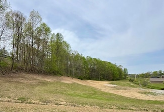 115 Higgins Branch Rd, Gray, KY 40734
