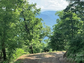 6 Deep Spring Rd, Sylva, NC 28779