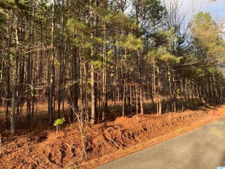 0 Bull Hollow Rd Unit 1798687, Gallant, AL 35972