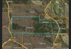 0 County Road 225, Blue Springs, MS 38828