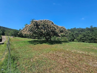 3176 Mountain View Rd, Junction, WV 26852